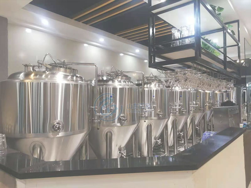 500升啤酒发酵设备